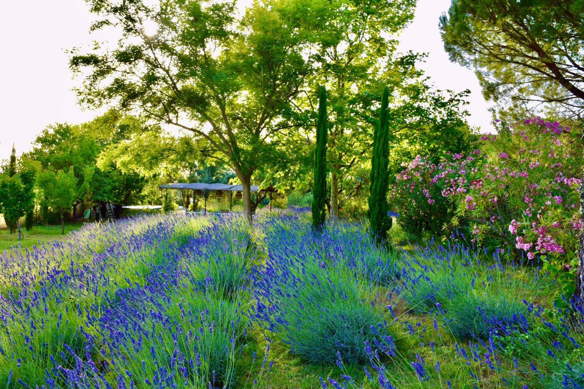 Bastide Saint-Didier Saint Didier (Vaucluse) Exterior foto